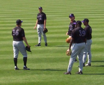 Shagging flies in BP.