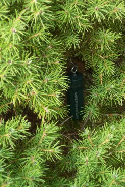 Ornamental Geocache