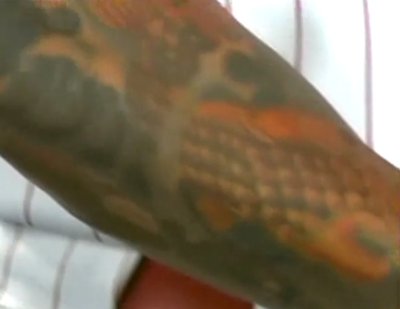 Felipe Lopez' right arm: The Dragon