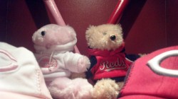 Some Reds stuffed animals on display in teh Champions Club
