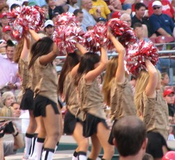 Cheerleaders in sexy camouflage
