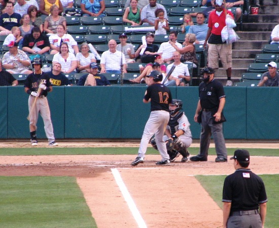 Wood batting.